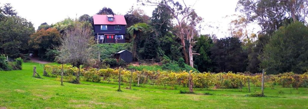 Quirky Woods - Glamping Cabins at Maketu (Maketu)