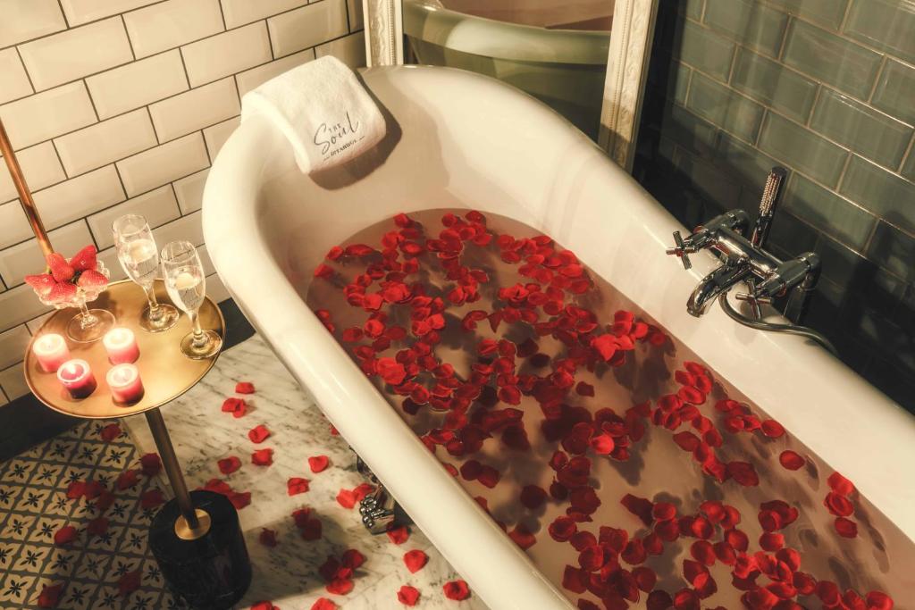 The Soul Istanbul Hotel