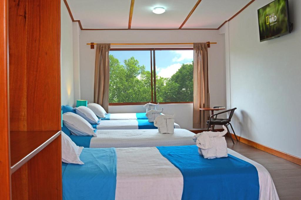 Lava House Hostal