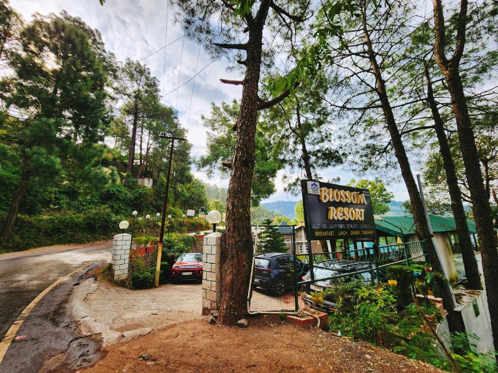Blossom Resort Kasauli