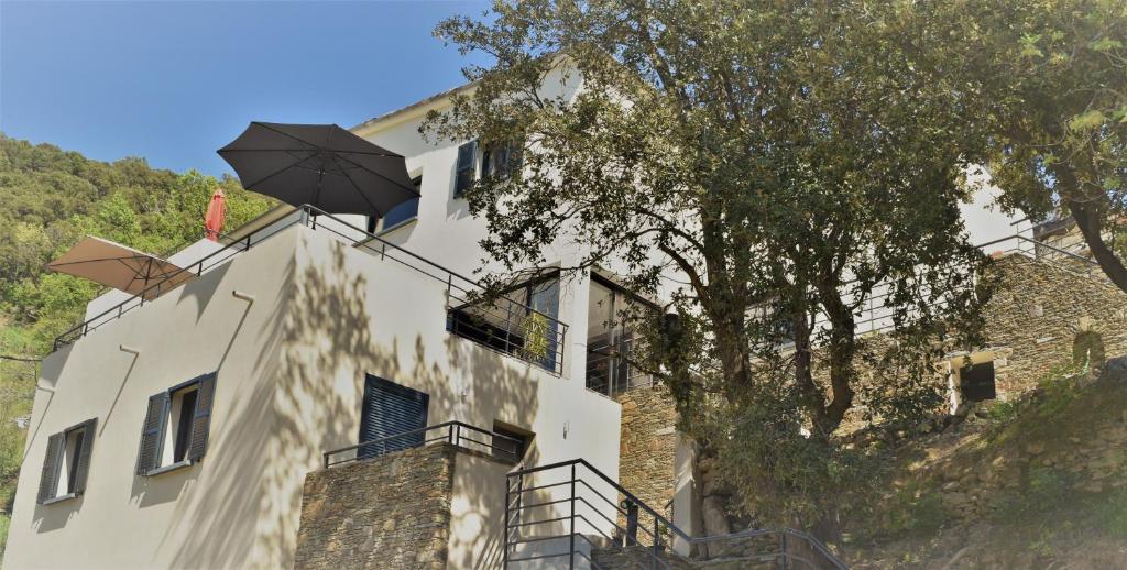 A Casa Di Campa (Oletta)