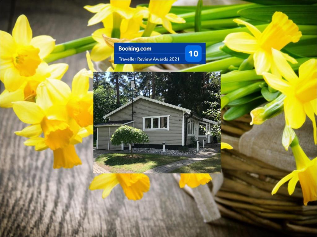 Nordic Relax House - Stonehouse, SJÖBO