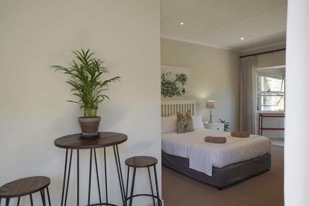 Panzi Garden Suite