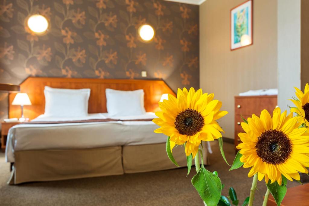 SPA Hotel Olymp