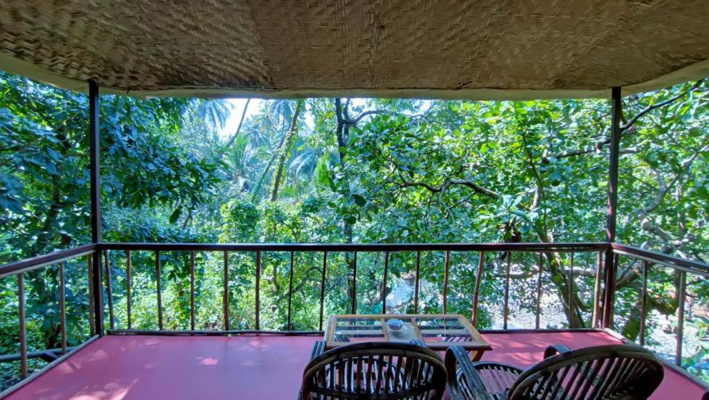 Samyama Retreat (Cola)