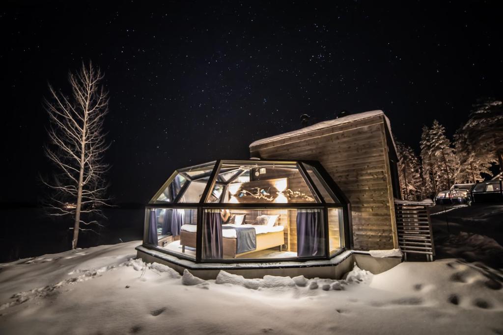 Arctic Fox Igloos (Ranua)