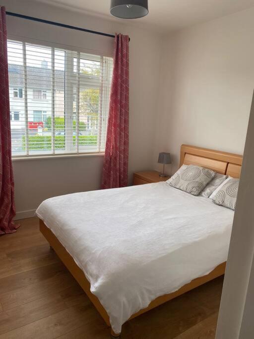 Beautiful one bedroom Apartment In Galway City