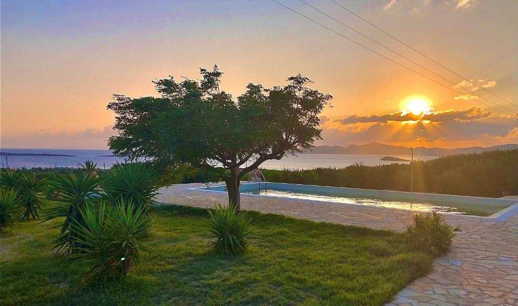 Paros Afrodite Luxury Villas (Aliki)