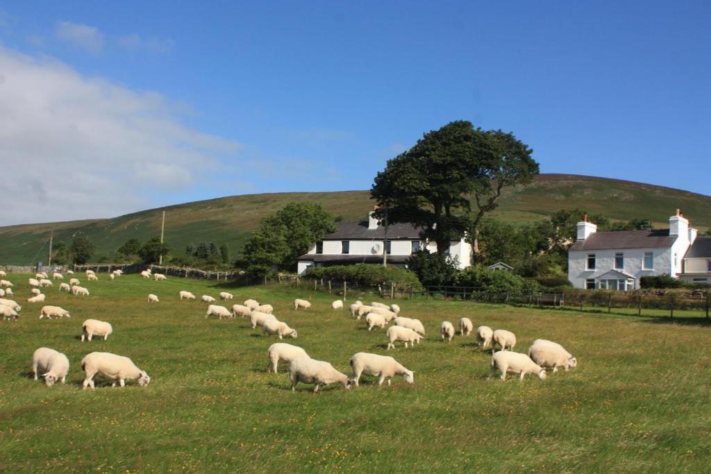 La Petite Colline (Laxey)