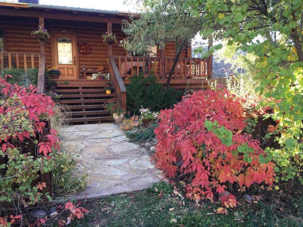 Canyon Wren Bed and Breakfast (Bluff)