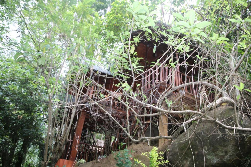 Jungle Face Inn