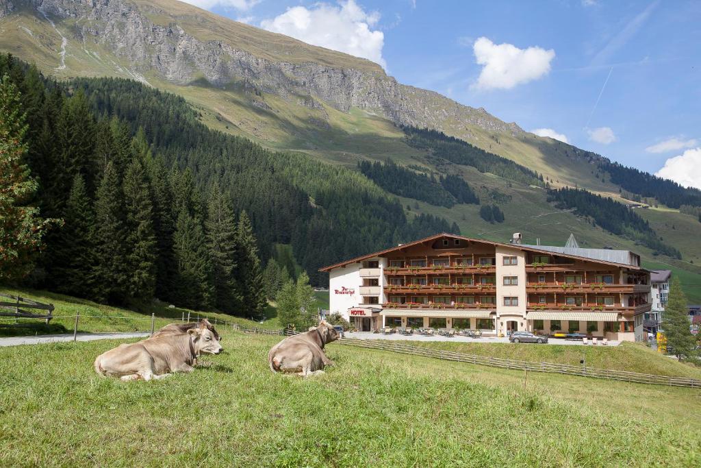 Der Rindererhof