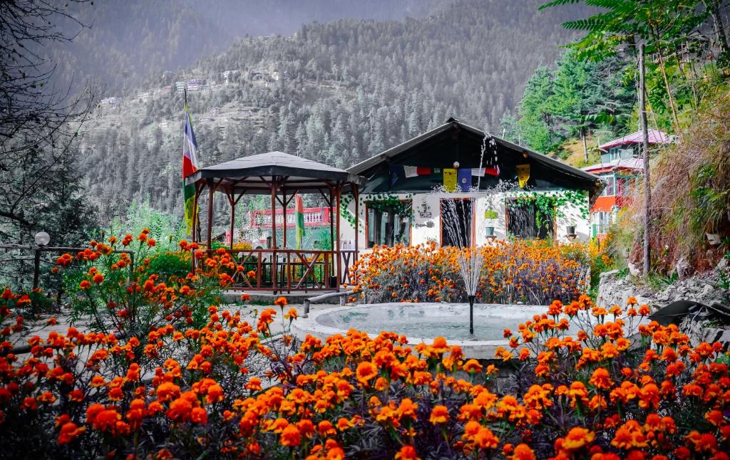 Himtrek Stays and Camps