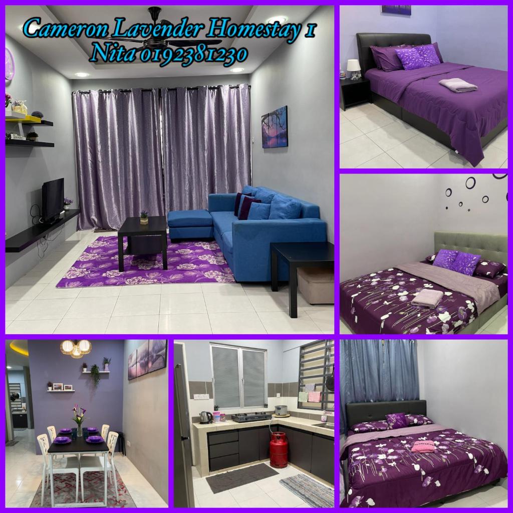 Cameron Lavender Homestay- M u s l i m Only