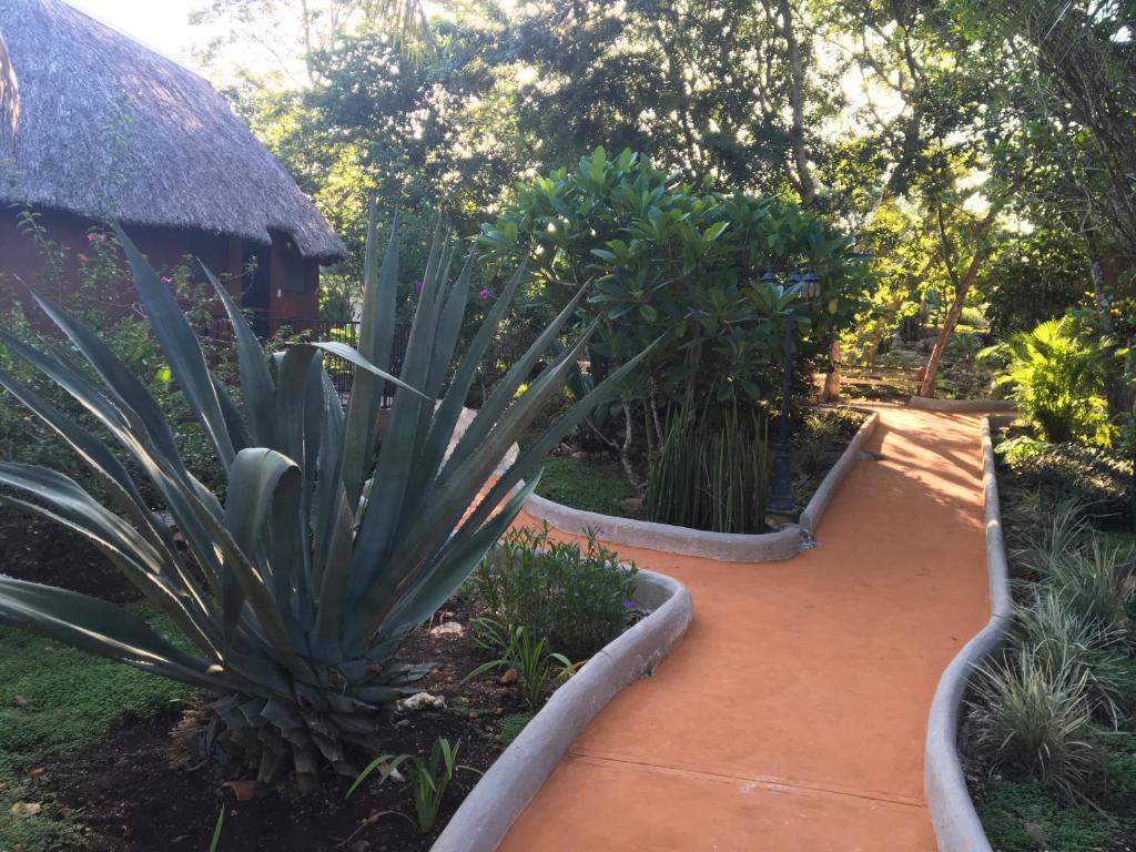 The Pickled Onion Eco-Boutique B&B (Santa Elena)