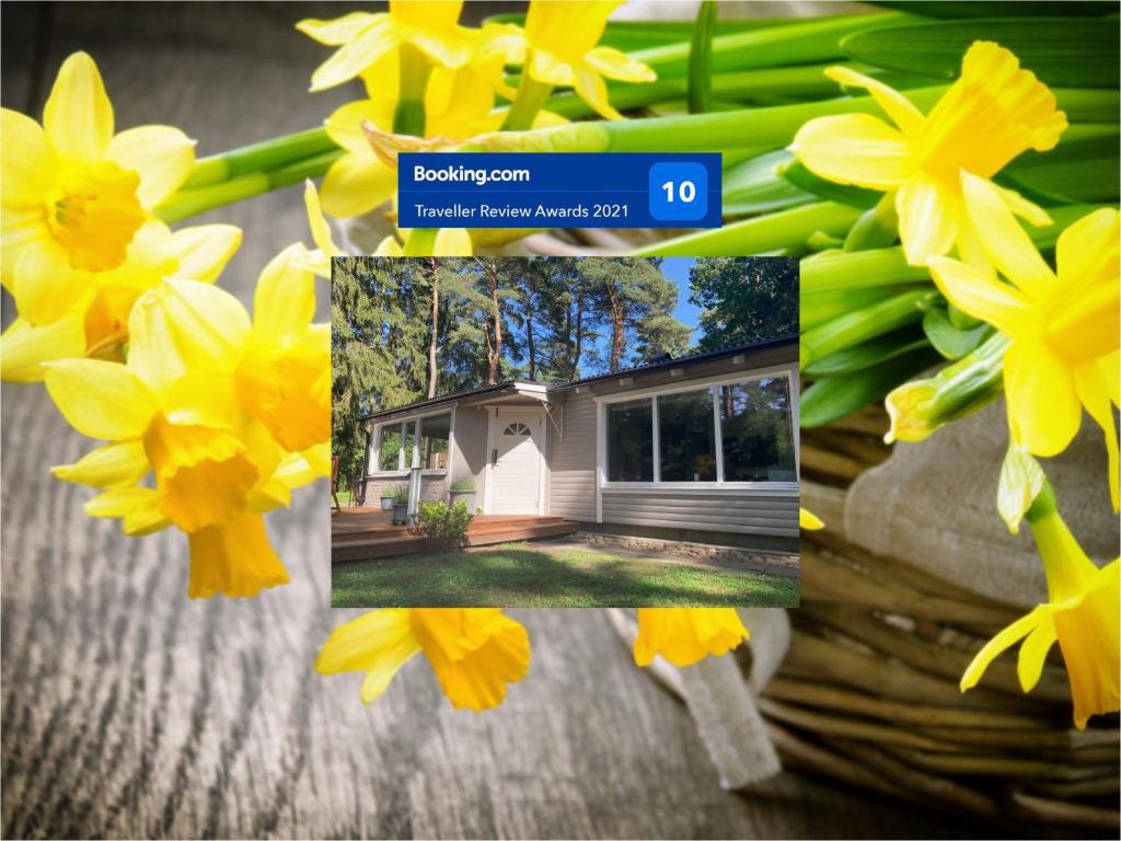 Nordic Relax House - WoodHouse, SJÖBO
