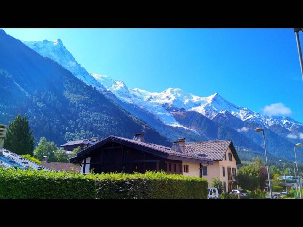Modern chalet for 5 people