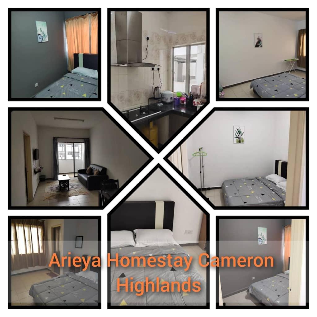 Arieya homestay cameron highlands FOR ISLAM ONLY