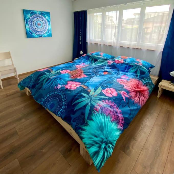 Gemütliches und ruhiges Studio in Seenähe