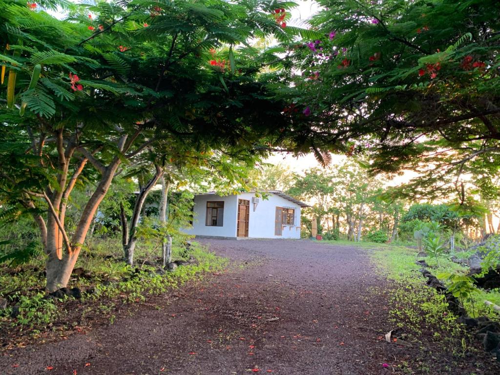 Casa Verde Vacation Garden Home (San Cristobal)