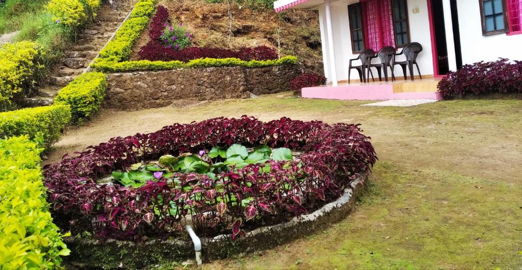 Blackcherry Munnar