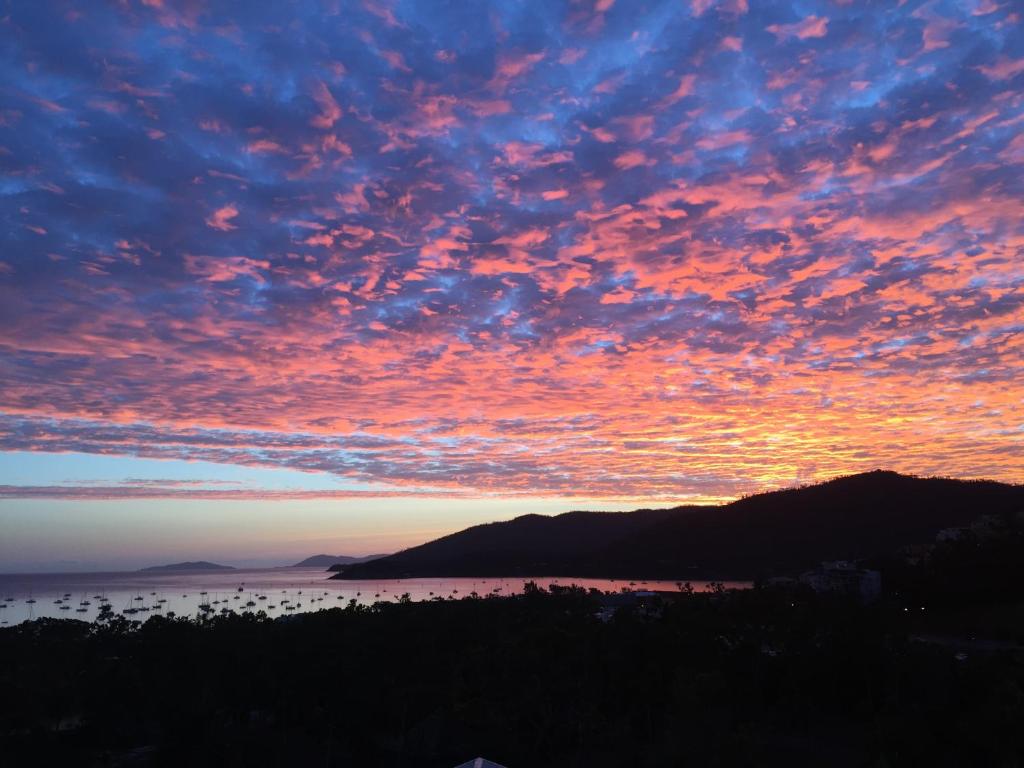 Island Views