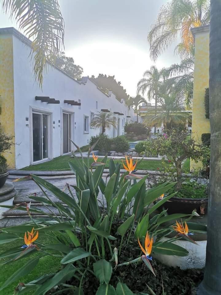 Los Canarios Cuernavaca