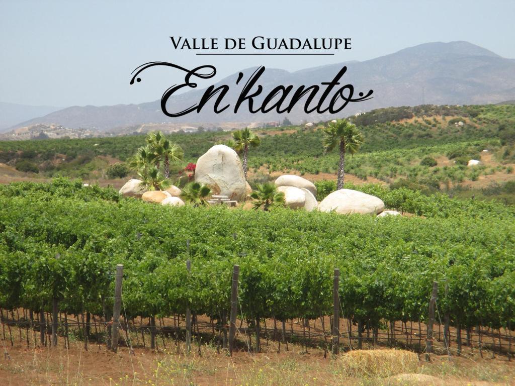 En'kanto Valle de Guadalupe (San Marcos)