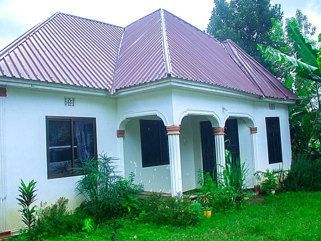 New Dream House