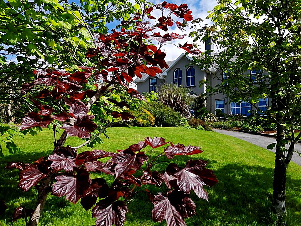 Apartments at Ballinsheen House & Gardens (Lisdoonvarna)