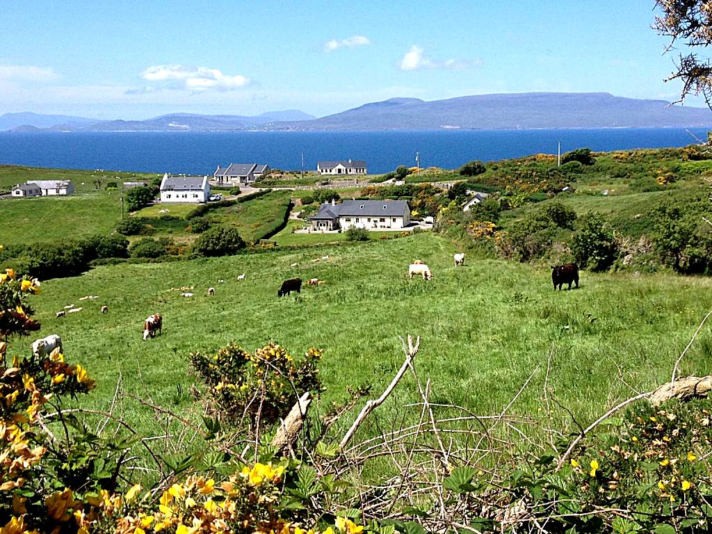 The Garden Room at Sleepy Hollow (Louisburgh)