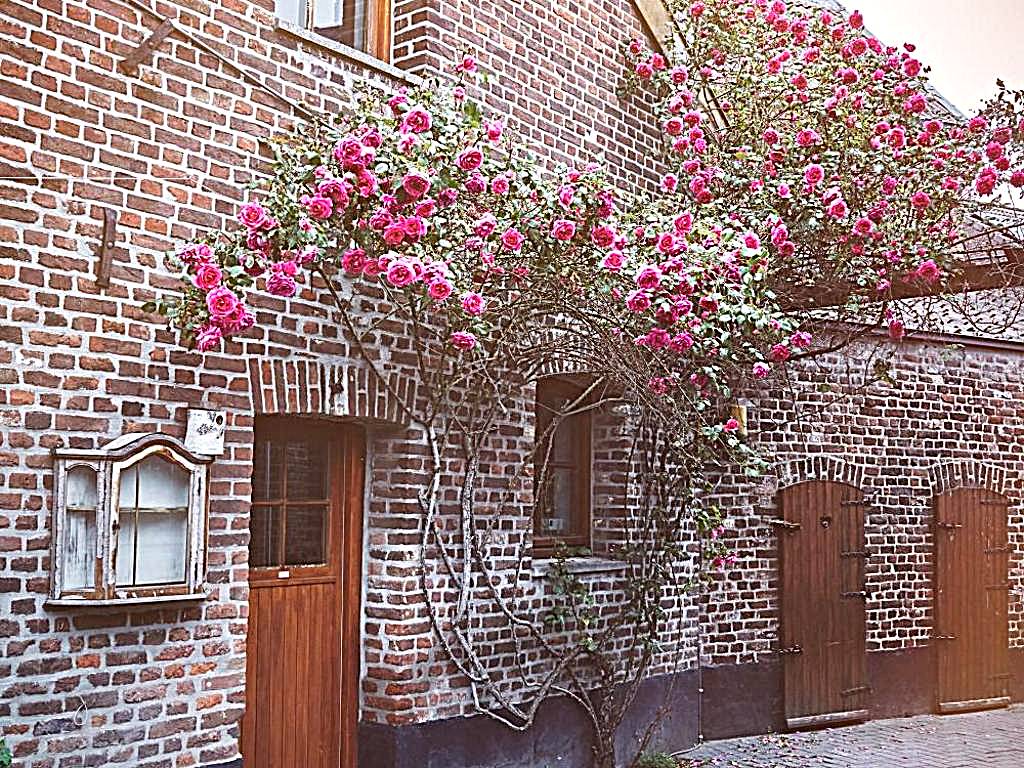 B&B Maas en Heuvel Maastricht