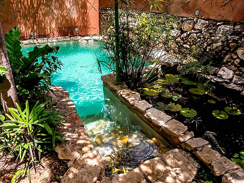 Casa de los Xolos - Majikal B&B