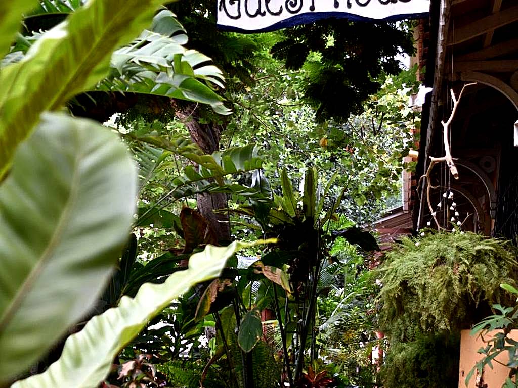 Afonso Guest House