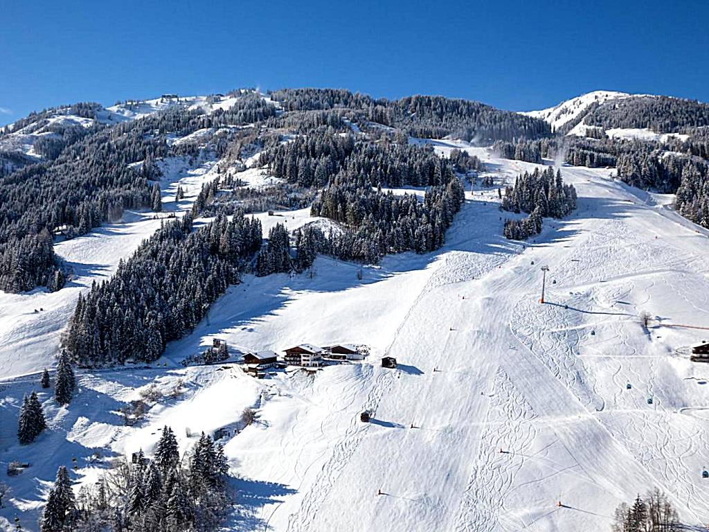 Pension Hedegghof (Grossarl)