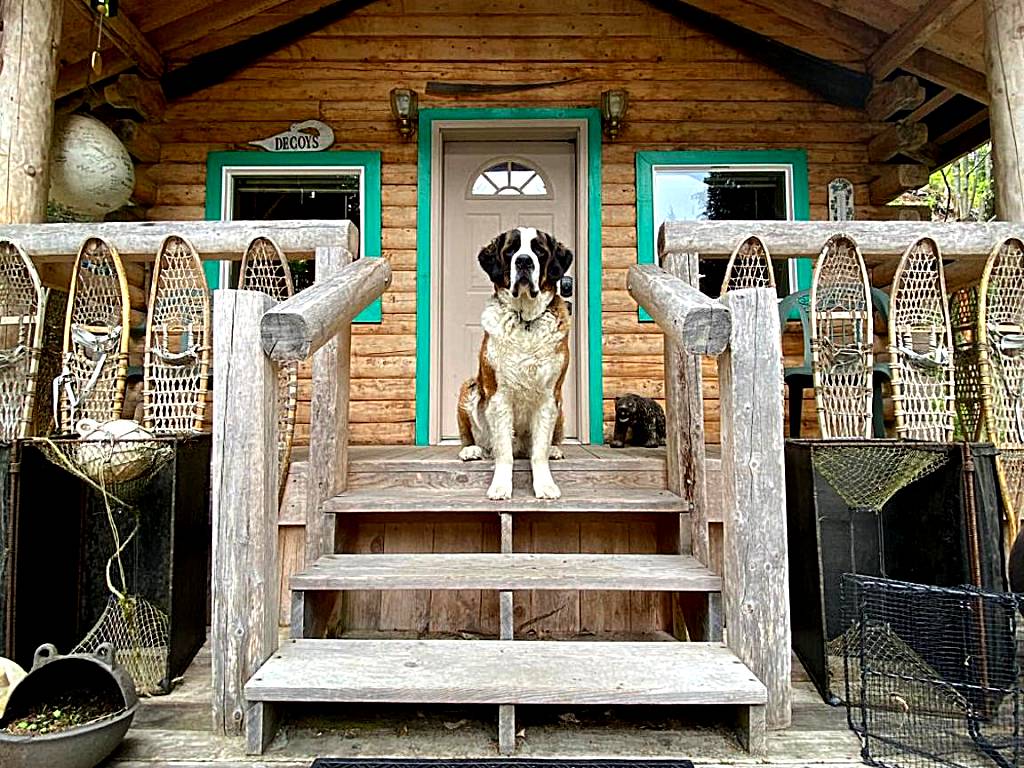 Kobuk’s Kabin