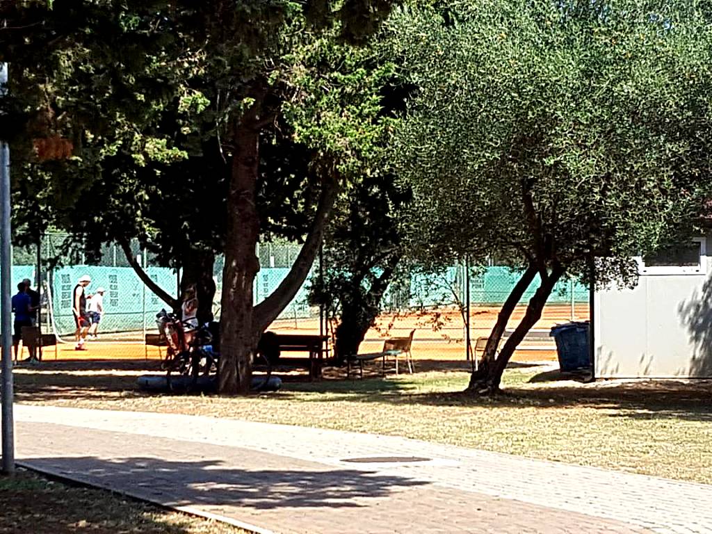 Apartments Punta by Sea
