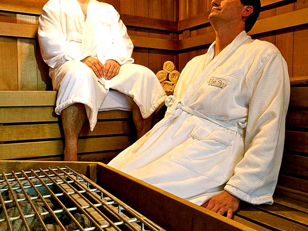Eaglewood Resort & Spa (Itasca)