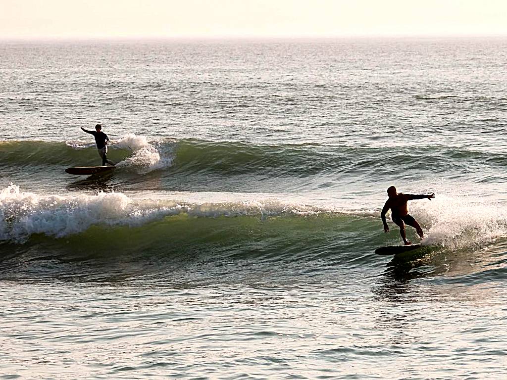 Surfivor Surf Camp