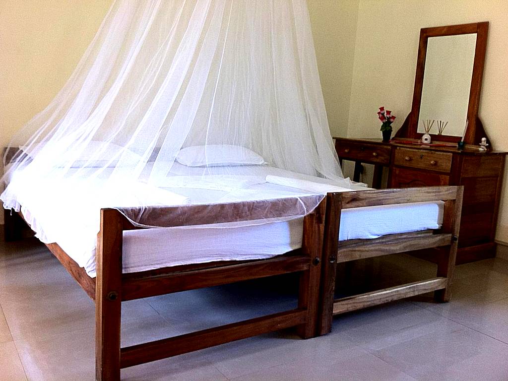 Green Garden Ayurvedic Resort & Green House: Standard Double Room with Fan