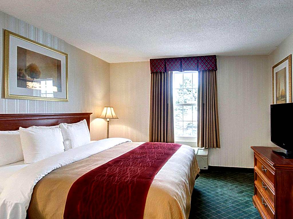 Comfort Inn Foxboro - Mansfield: King Suite with Spa Bath - Non-Smoking (Foxborough)