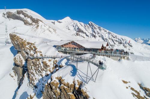 Berggasthaus First - Only Access by Cable Car (Grindelwald)