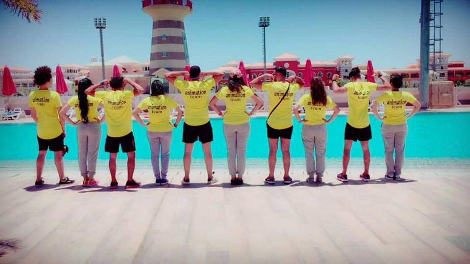 Porto sharm napq score