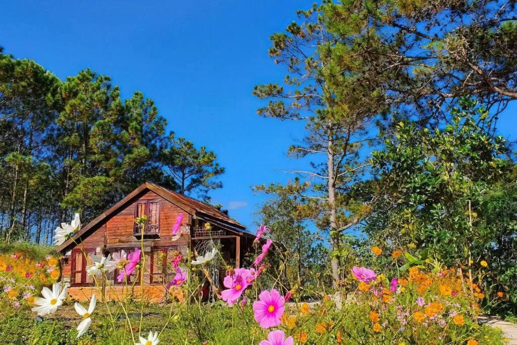 Romantic house 2 on a pine hill Dalat