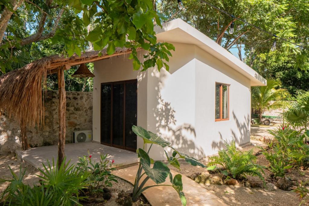 Casa Cactus Buenavista