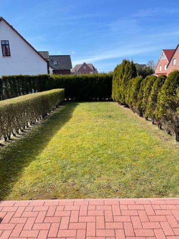 Sternschnuppe