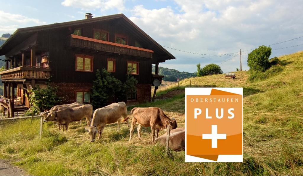 Ferienhaus am Berg
