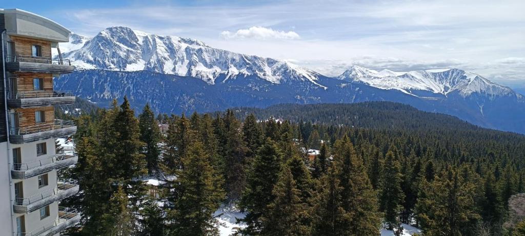Appartement pieds des pistes, 6p, piscine ouverte pendant l'ouverture de la station, vue imprenable, Chamrousse