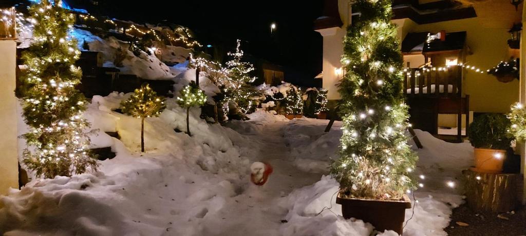 Ubytování v soukromí - Apartmán MERAN