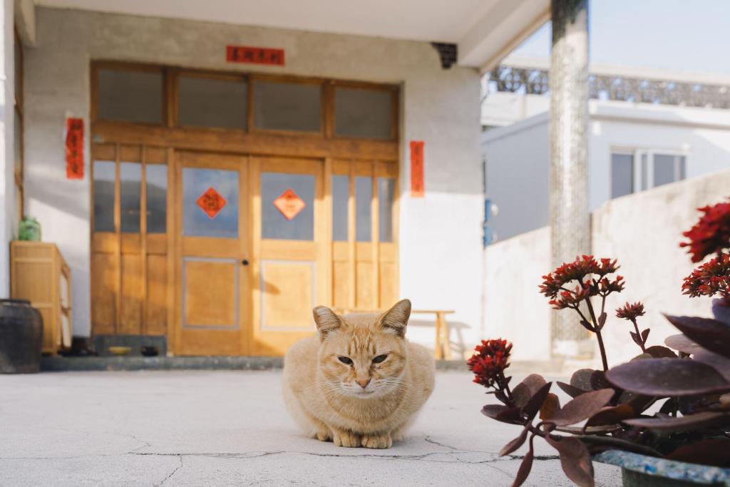 Tungwei B&B
